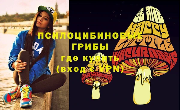 таблы Дмитровск