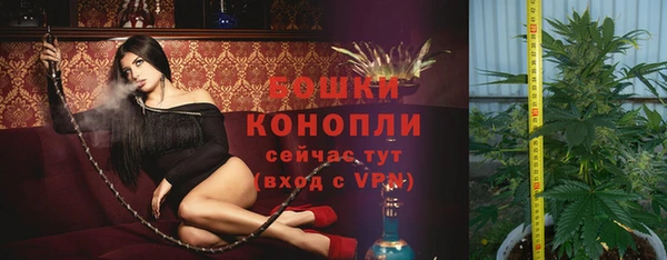 круглые Дмитриев