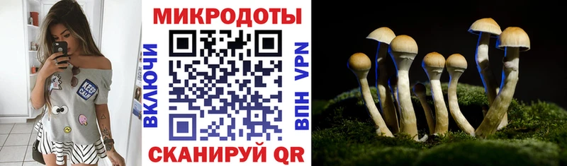 Купить где  Володарск  Псилоцибиновые грибы Psilocybine cubensis 