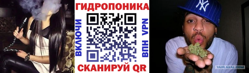 Бошки Шишки гибрид  Купить закладки  Володарск 